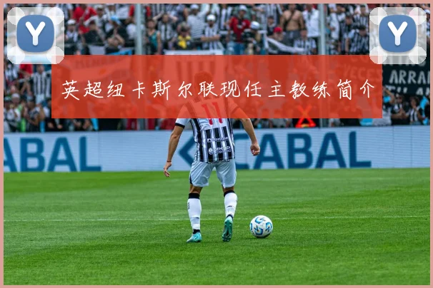 英超纽卡斯尔联现任主教练简介