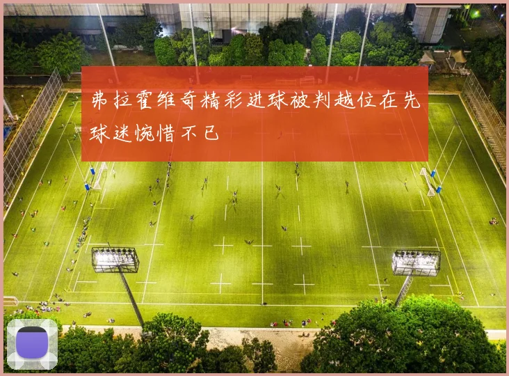 弗拉霍维奇精彩进球被判越位在先球迷惋惜不已